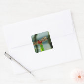 Gepunktetes Rotes und Schwarzes Dragonfly Quadratischer Aufkleber (Umschlag)