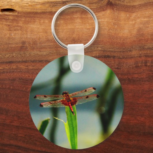 Gepunktetes Rotes und Schwarzes Dragonfly Schlüsselanhänger (Vorderseite)