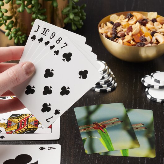 Gepunktetes Rotes und Schwarzes Dragonfly Spielkarten (In Situ)