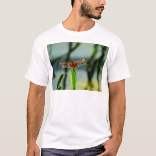 Gepunktetes Rotes und Schwarzes Dragonfly T-Shirt