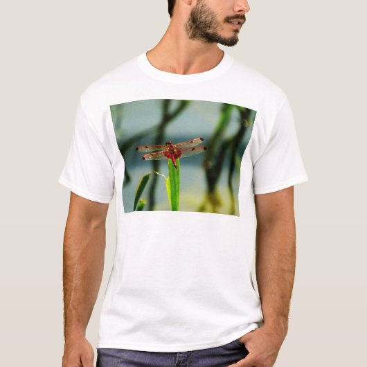 Gepunktetes Rotes und Schwarzes Dragonfly T-Shirt (Vorderseite)