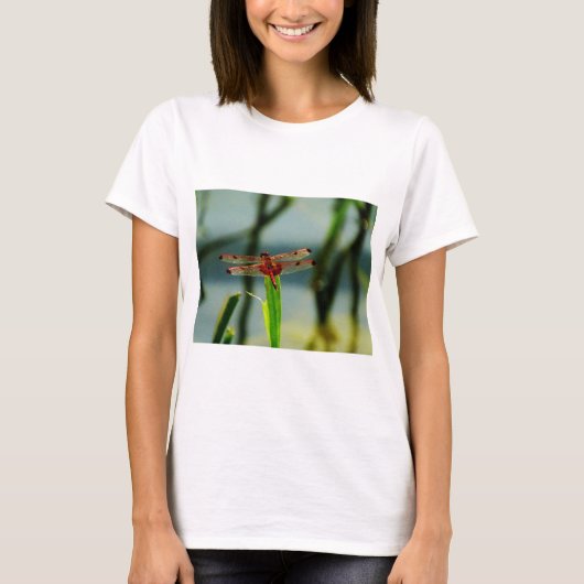 Gepunktetes Rotes und Schwarzes Dragonfly T-Shirt (Vorderseite)