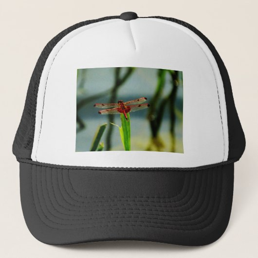 Gepunktetes Rotes und Schwarzes Dragonfly Truckerkappe (Vorderseite)