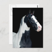 Gepunktetes Sattelpferd Postkarte (Vorne/Hinten)