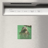 gepunktetes Siegel Magnet (In Situ (Geschirrspüler))