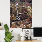 Gepunktetes Trommeljuvenil Poster (Heimbüro)