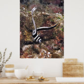 Gepunktetes Trommeljuvenil Poster (Küche)