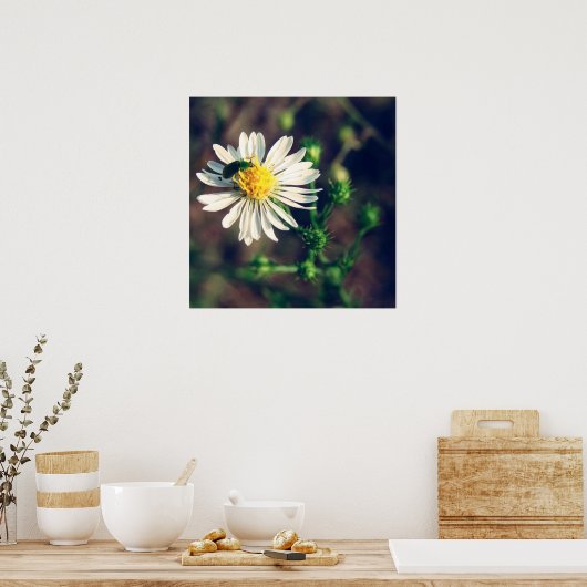 gequetscht poster (Küche)