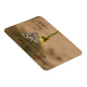 Gerade, als die Raupe dachte die - Magnet (Rechte Seite)