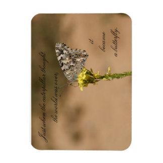 Gerade, als die Raupe dachte die - Magnet