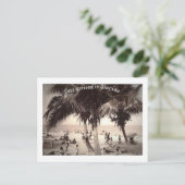Gerade angekommen in Florida! Vintag Postkarte (Stehend Vorderseite)
