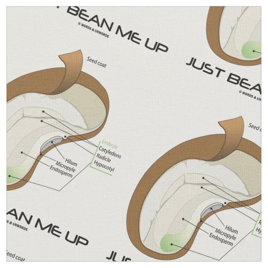 Gerade Bohne ich herauf Dicotyledon Stoff (Nahaufnahme)