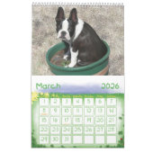 Gerade Bostons Kalender (Mär 2026)