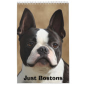 Gerade Bostons Kalender (Titelbild)