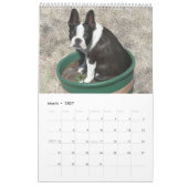 Gerade Bostons Kalender (Mär 2027)