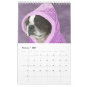 Gerade Bostons Kalender (Feb 2027)