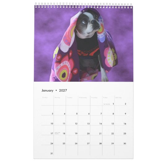 Gerade Bostons Kalender (Jan 2027)