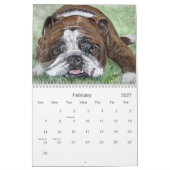 Gerade Bulldoggen Kalender (Feb 2027)