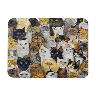 Gerade der Bart der Katze Magnet