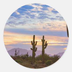 Gerade ein anderer bunter Sonoran Runder Aufkleber