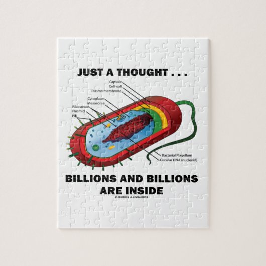 Gerade ein Gedanke… Milliarden und Milliarden nach Puzzle (Vertikal)