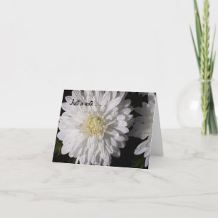 Gerade eine Anmerkung… Karte