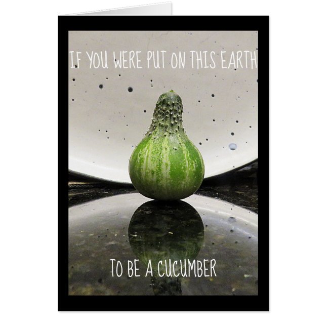 Gerade für Spaß (Vorne)