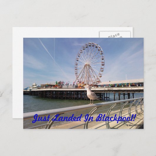 Gerade gelandet postkarte (Vorne/Hinten)