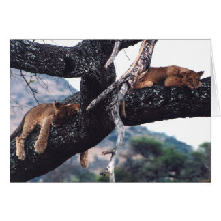 "Gerade heraus hängend "