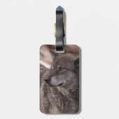 Gerade herein mischend gepäckanhänger (Rückseite vertikal)