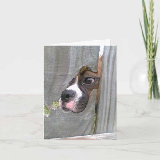 Gerade herein spähend karte (Vorderseite)