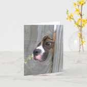 Gerade herein spähend karte (Gelbe Blume)