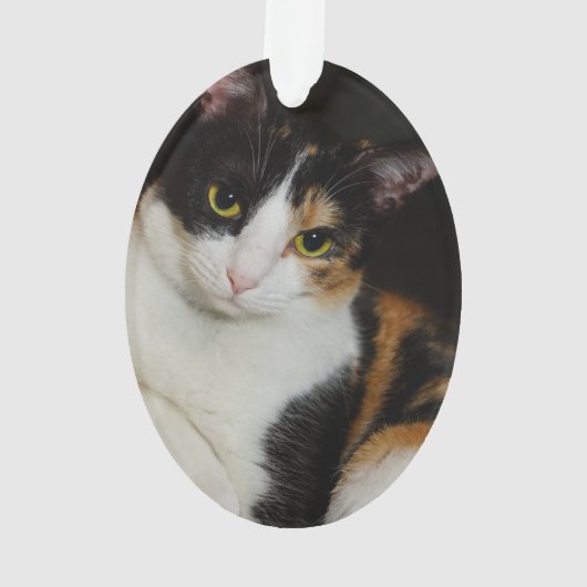 Gerade herum hängend ornament (Rückseite)