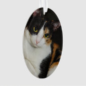 Gerade herum hängend ornament (Vorderseite)