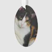 Gerade herum hängend ornament (Vorderseite)