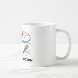 Gerade Lohn-Aufmerksamkeit (Neuron/Synapse) Kaffeetasse