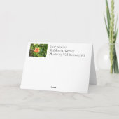 Gerade pfirsichfarben karte (Rückseite)