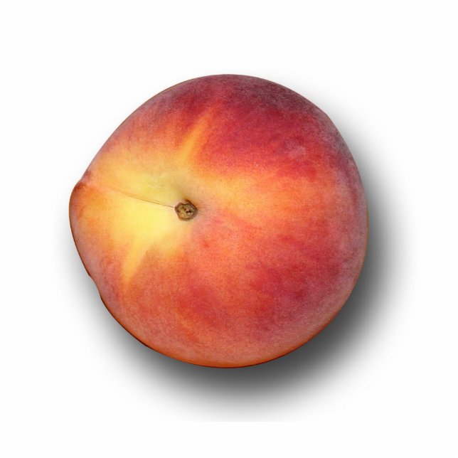 "Gerade pfirsichfarbener" Magnet Fotoskulptur Magnet (Vorne)