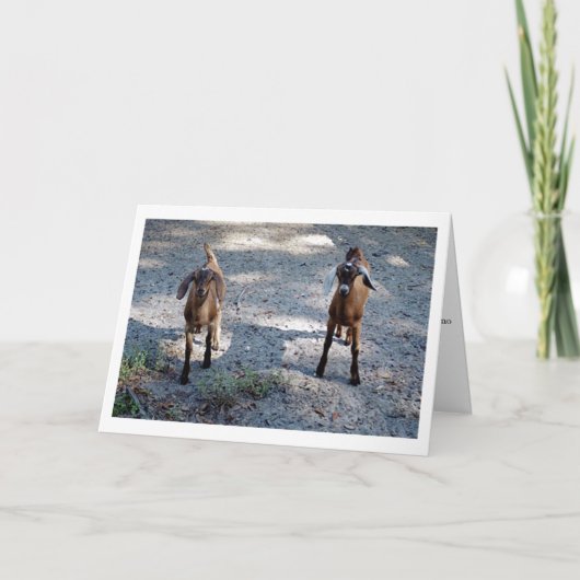 Gerade Sie und ich Kind! Karte (Vorderseite)