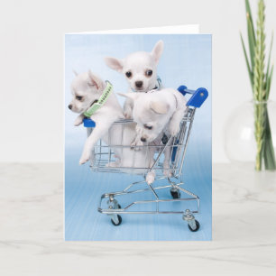 Gerade Sprichwort hallo Karte