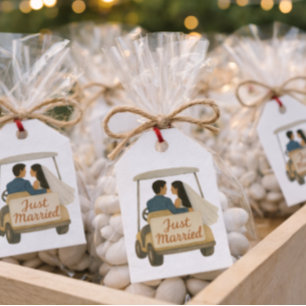 'Gerade Verheiratet' Braut und Bräutigam in einem  Geschenkanhänger