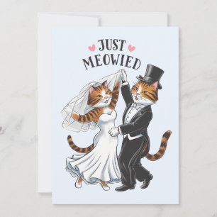 Gerade verheiratete Paare Katze Lustige Hochzeit Einladung
