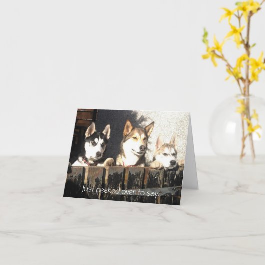 Gerade vorbei gespäht, um zu sagen. karte (Gelbe Blume)