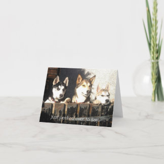 Gerade vorbei gespäht, um zu sagen. karte