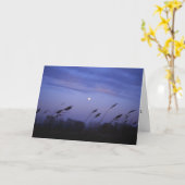 Gerade weil Sammlung Karte (Gelbe Blume)