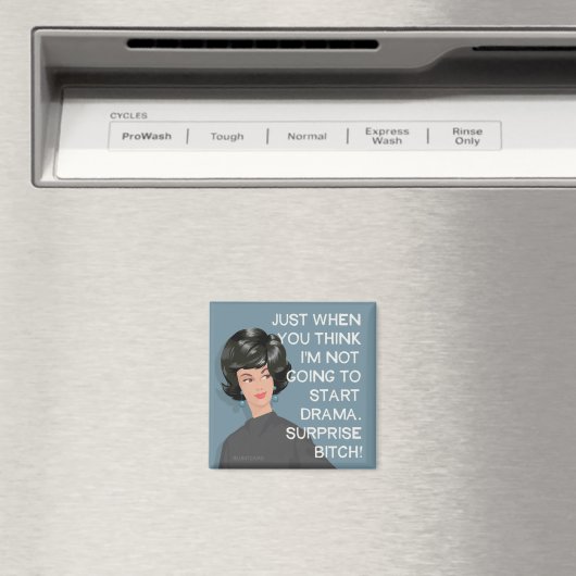 Gerade wenn du denkst, dass ich nicht mit dem Dram Magnet (In Situ (Geschirrspüler))