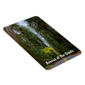 Geradeaus durch den misty Redwood Forest Magnet (Rechte Seite)