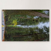 Geradeaus durch den misty Redwood Forest Puzzle (Horizontal)