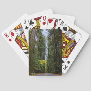 Geradeaus durch den misty Redwood Forest Spielkarten