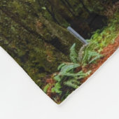 Geradewegs durch den Misty Redwood Forest-S Fleecedecke (Ecke)